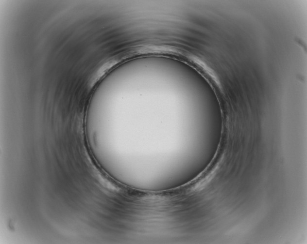 X0000096711033200802051033