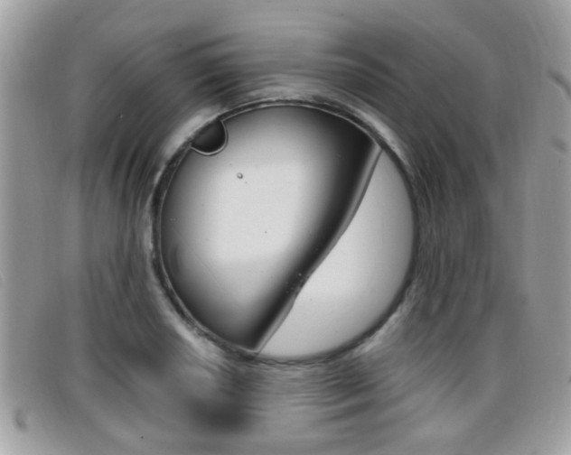X0000096711034200802051033