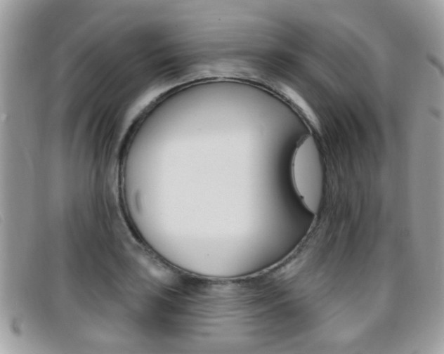 X0000096711035200802051033