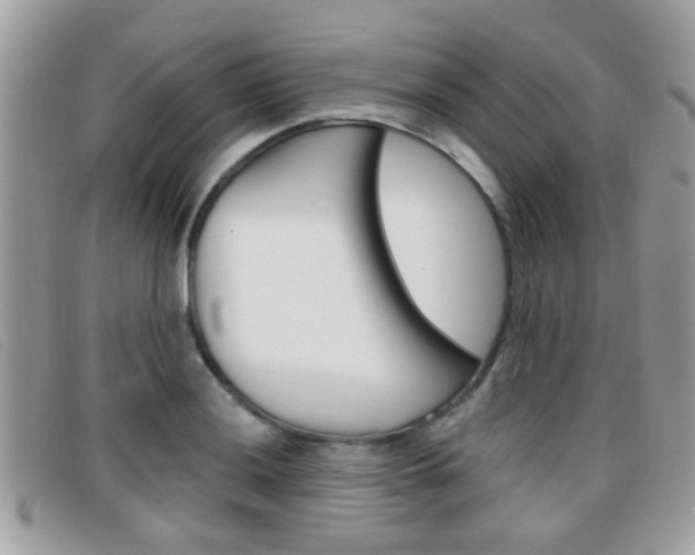 X0000096711036200802051033