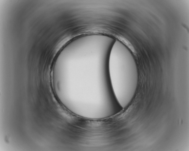 X0000096711039200802051033