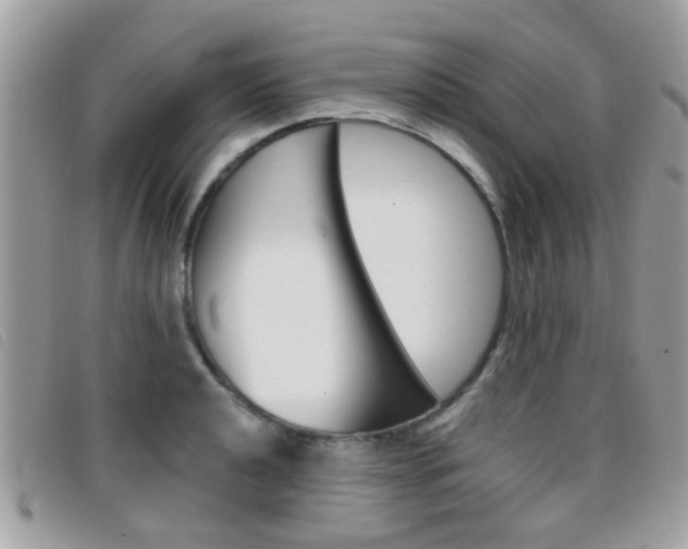 X0000096711040200802051033