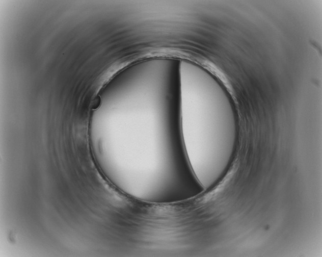 X0000096711041200802051033