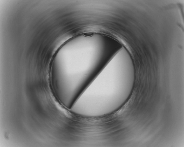 X0000096711042200802051033