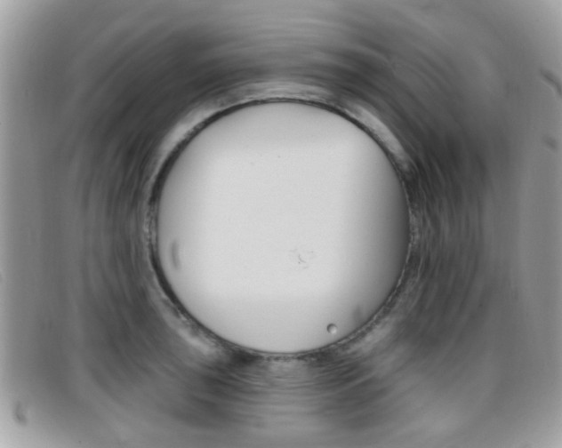 X0000096711043200802051033