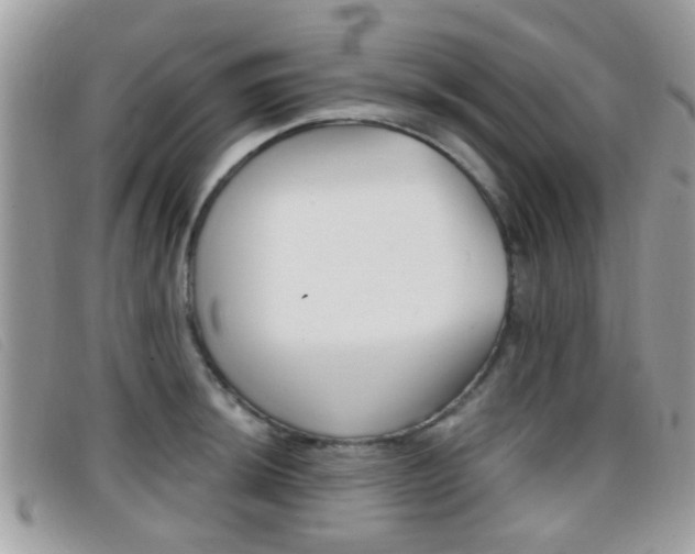 X0000096711044200802051033