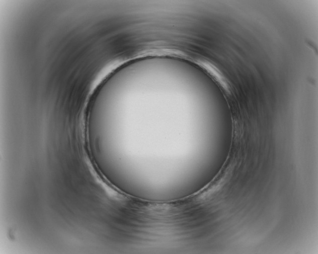 X0000096711046200802051033