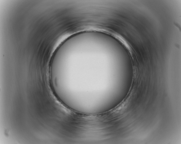 X0000096711048200802051033