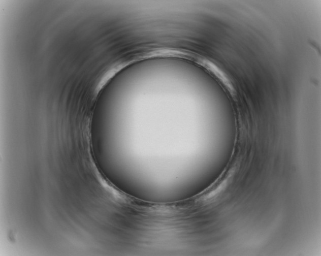 X0000096711049200802051033