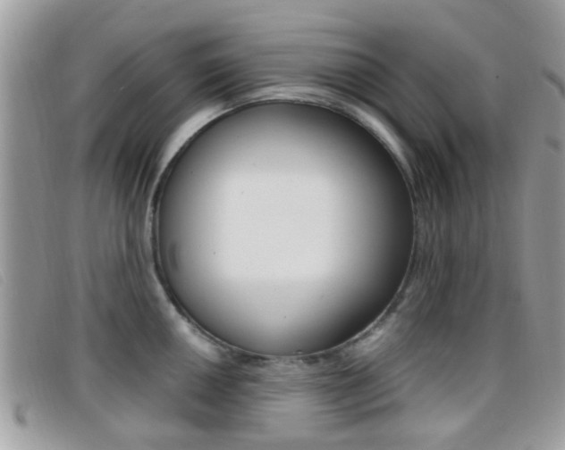 X0000096711050200802051033