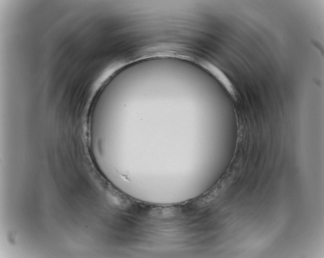 X0000096711051200802051033