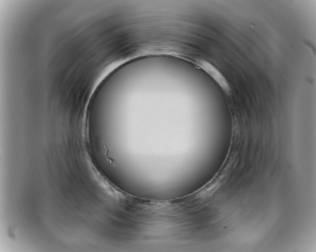 X0000096711052200802051033