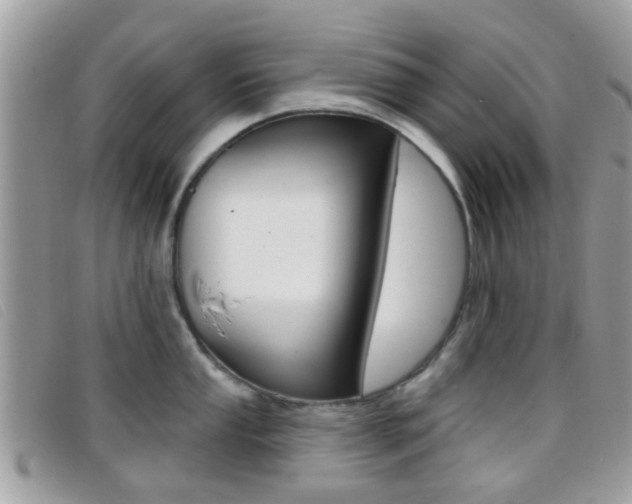 X0000096711053200802051033