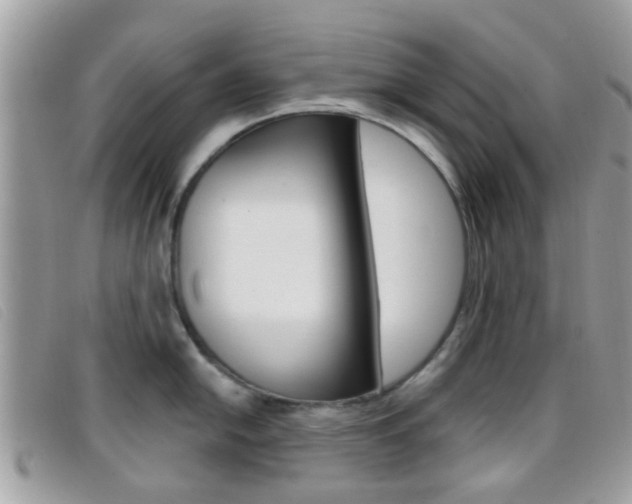 X0000096711054200802051033