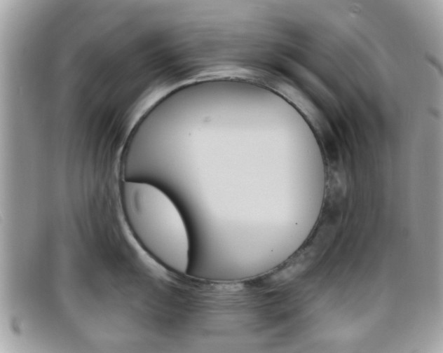 X0000096711055200802051033