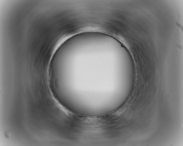 X0000096711056200802051033