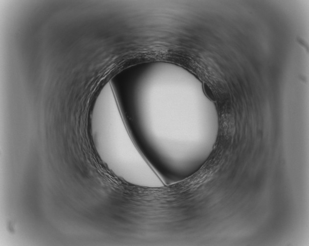 X0000096711057200802051032