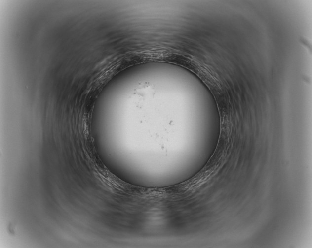 X0000096711058200802051032