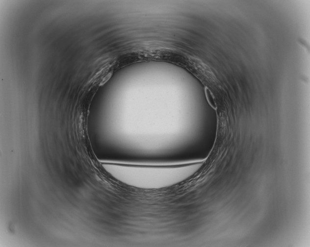 X0000096711060200802051032