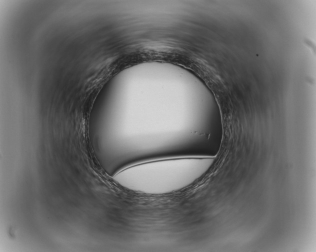 X0000096711061200802051032