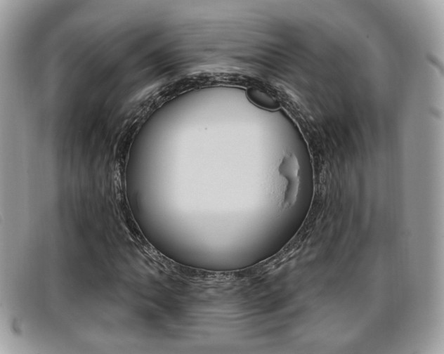 X0000096711062200802051032