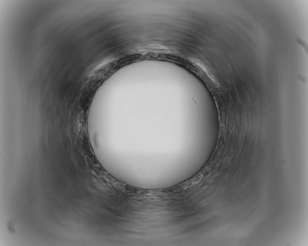 X0000096711063200802051032