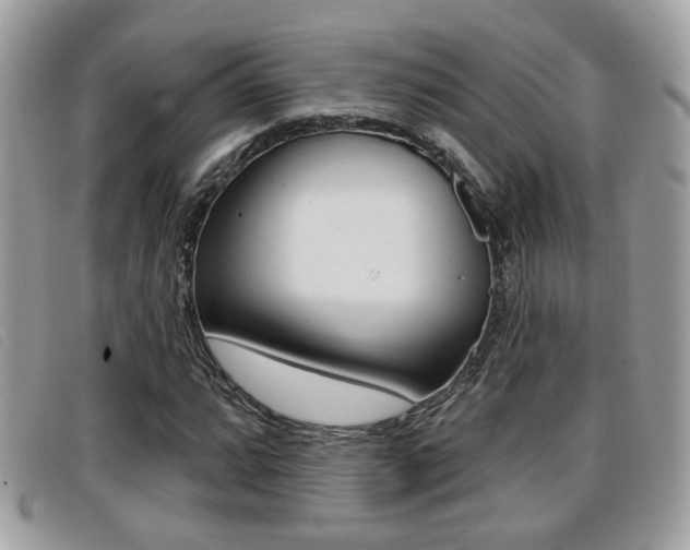X0000096711064200802051032