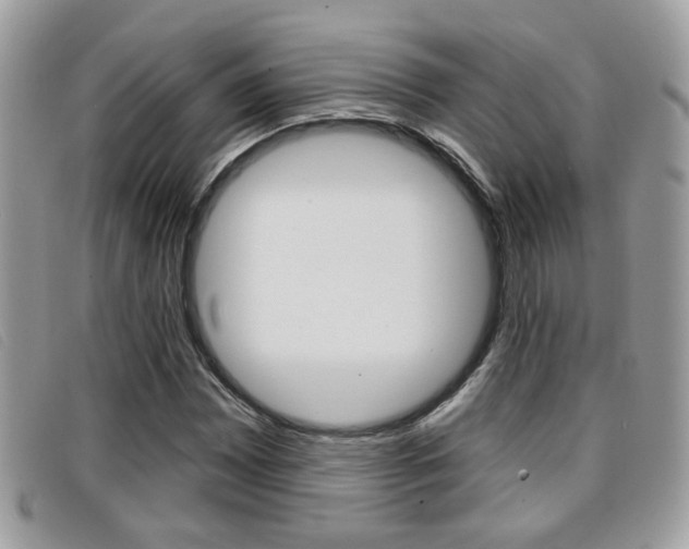 X0000096711065200802051032