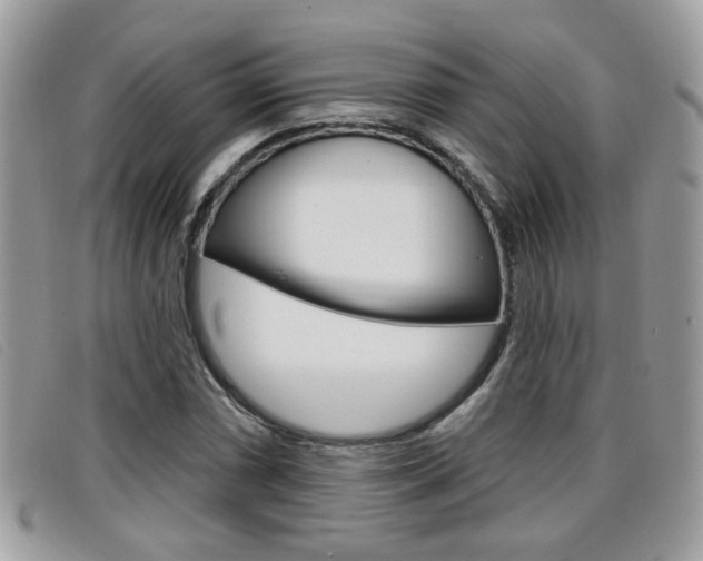 X0000096711066200802051032