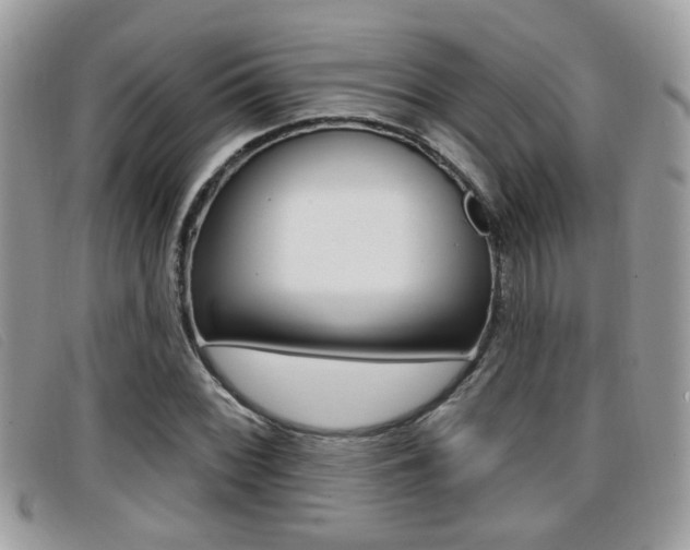 X0000096711068200802051032