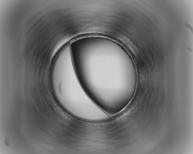 X0000096711069200802051032