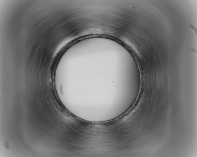 X0000096711070200802051032