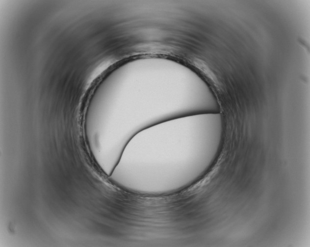 X0000096711071200802051032