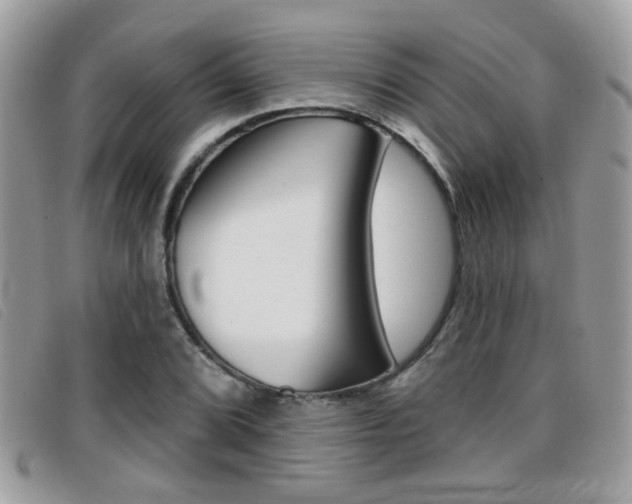 X0000096711072200802051032