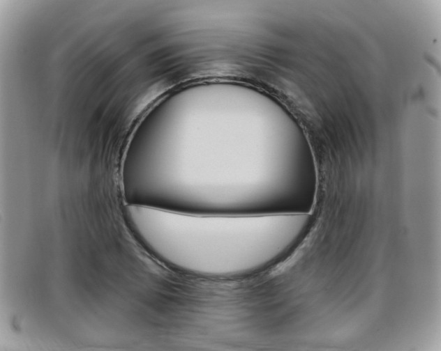 X0000096711073200802051032
