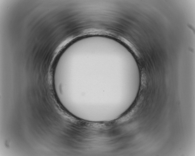 X0000096711074200802051032