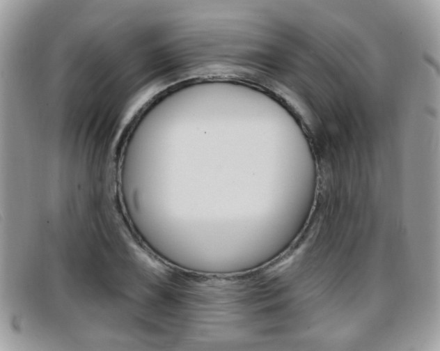 X0000096711075200802051032