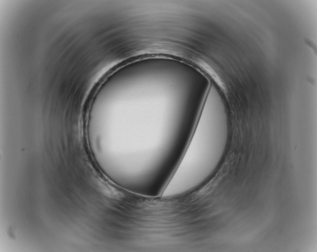 X0000096711076200802051032