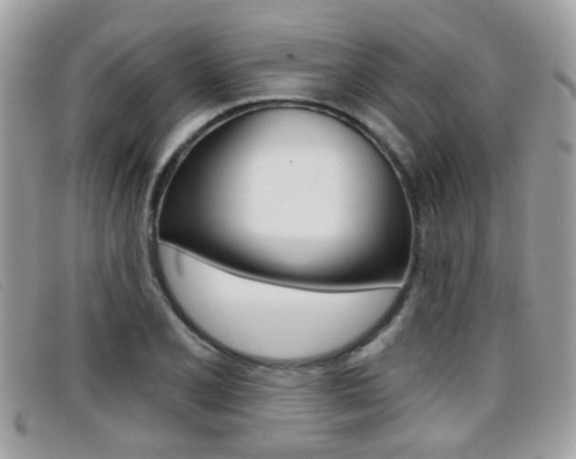 X0000096711077200802051032