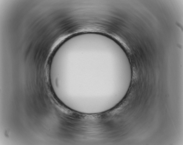X0000096711078200802051032