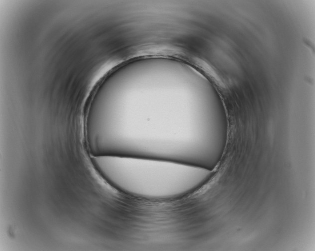 X0000096711079200802051032