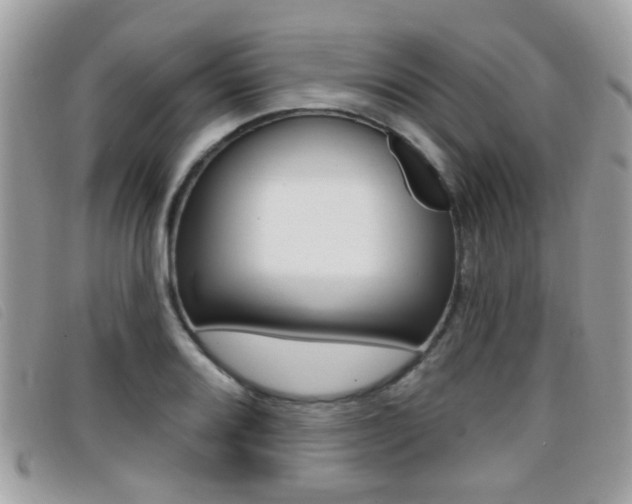 X0000096711080200802051032