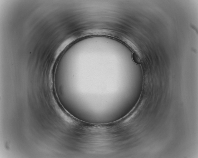 X0000096711082200802051032