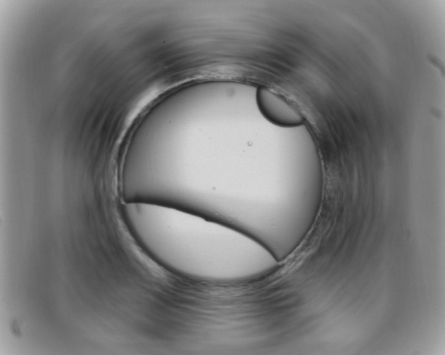 X0000096711083200802051032