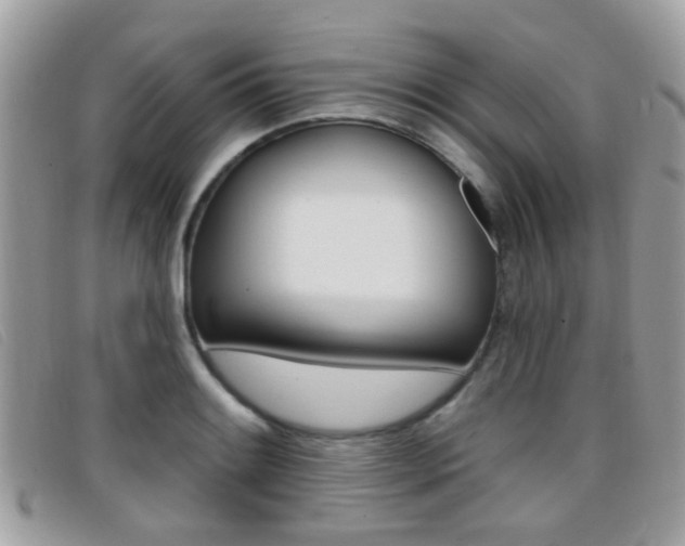 X0000096711084200802051032