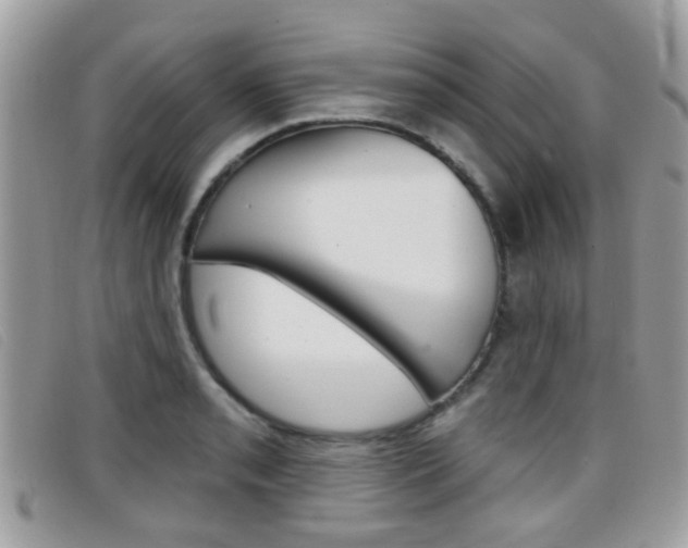 X0000096711085200802051032