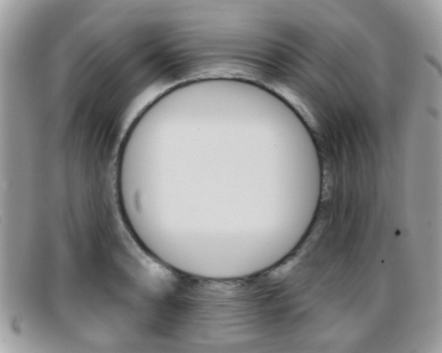 X0000096711086200802051032