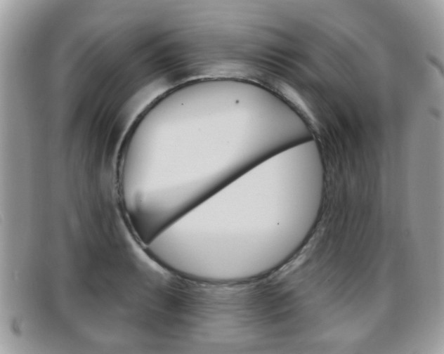 X0000096711087200802051032