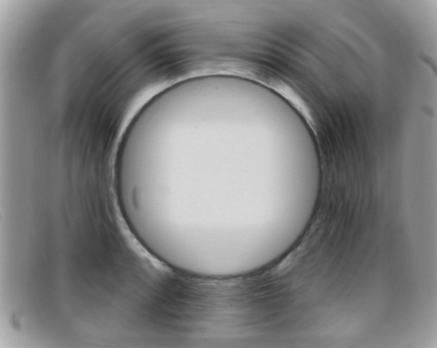 X0000096711088200802051032