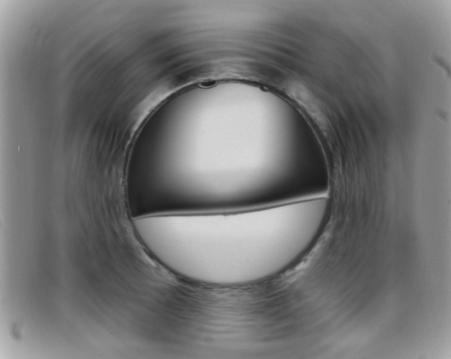 X0000096711089200802051032